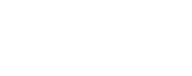 Zattar Aviation